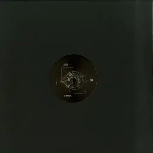 DC194 Meteorite